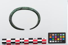 Foto von Bronzeperlarmeif (NHMW-PRAE-024284)